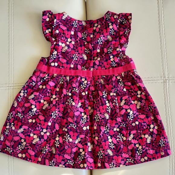 Gymboree Woodland Baby Girl Dress - Picture 2 of 5